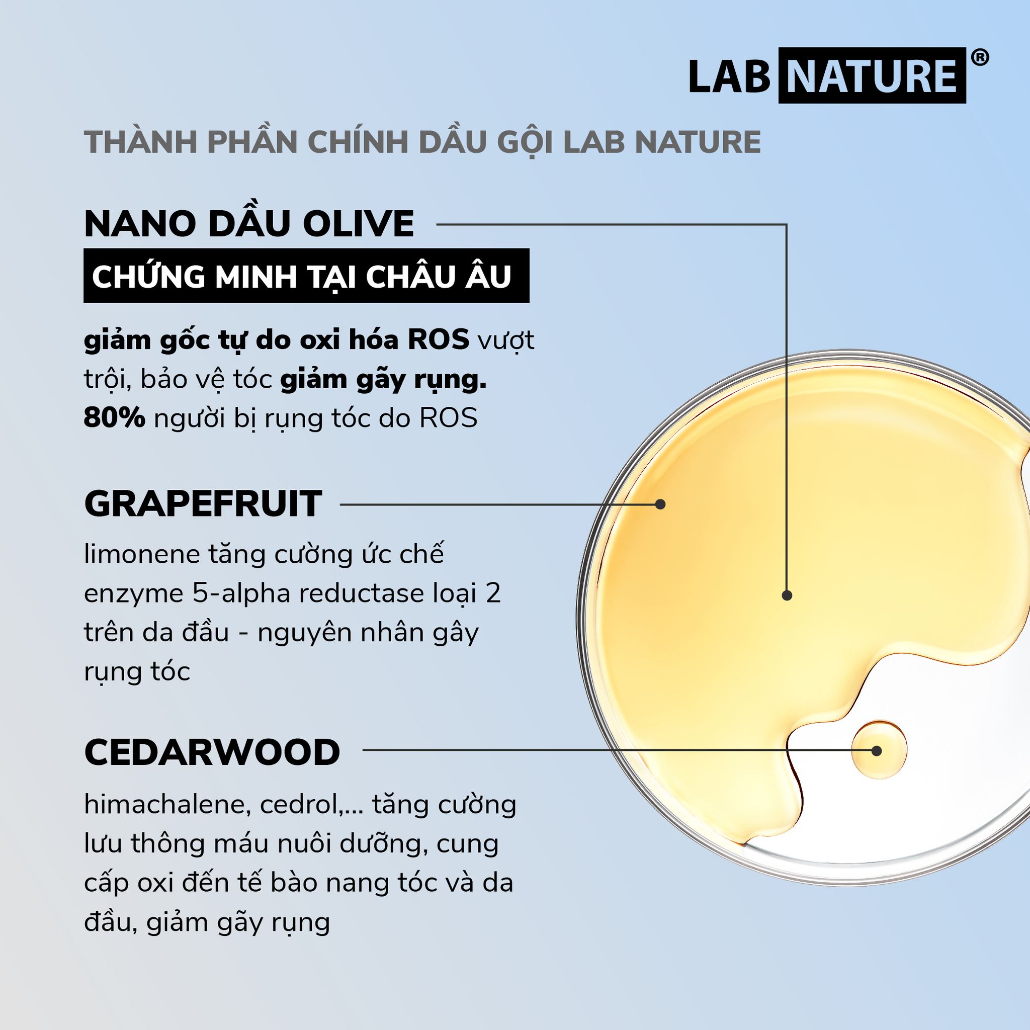 Nano dầu Olive trong dầu gội Wakamono.jpg